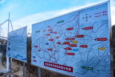 岳西县“三个打造”举措助推中药材产业与医药技术高质量发展