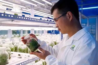 科技日报 安利联合中国中医科学院中药研究所宣布率先完成菊花全基因组测序工作，助力中医药研究现代化